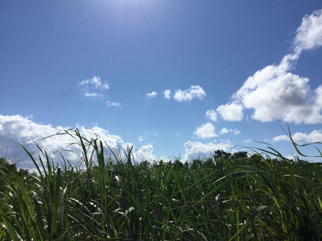 Ishigaki  민슈쿠 자바루 호스텔 외부 사진